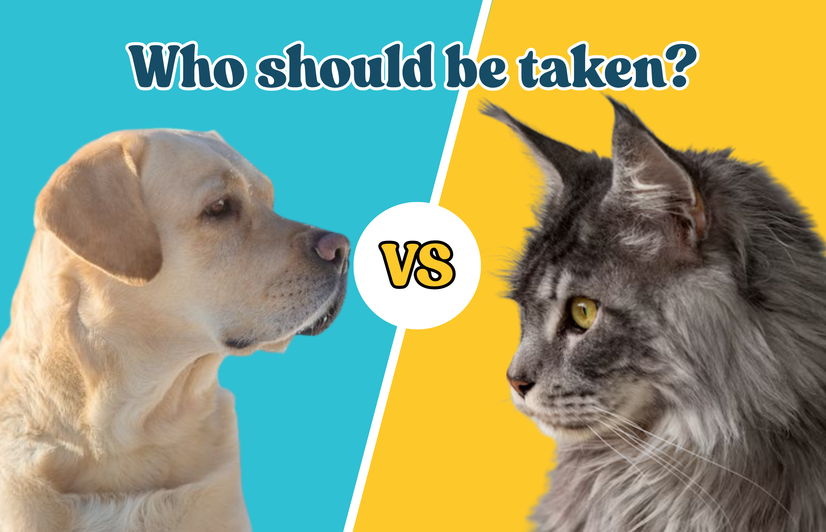 Cats vs Dogs. Who should be taken?