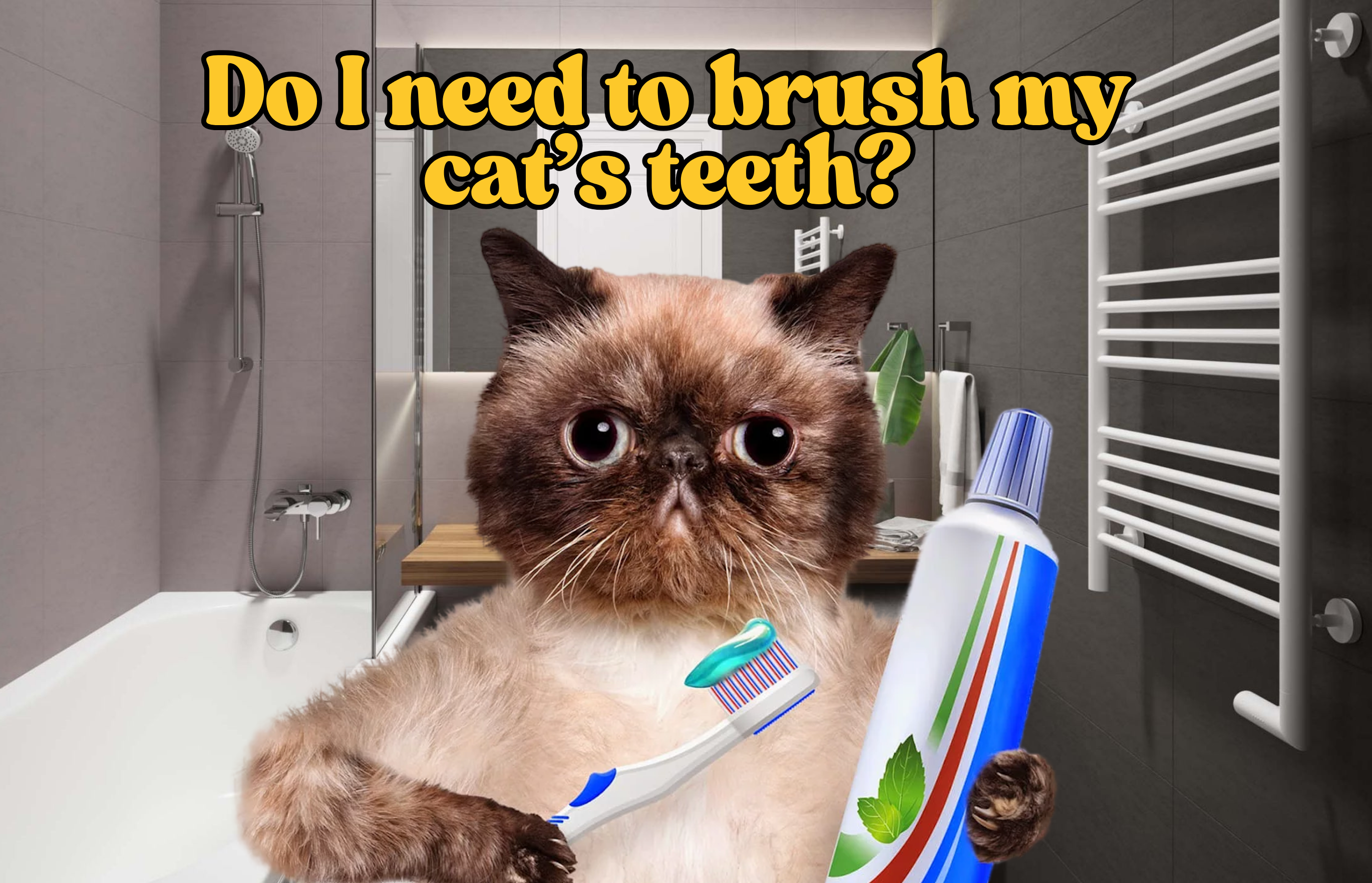 Do I need to brush my cat’s teeth?