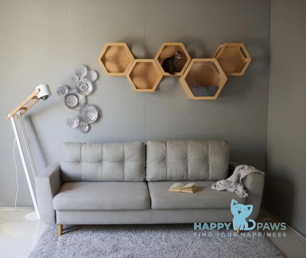 Hexagon For A Cat Animals & Pet Supplies